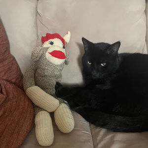 Meet your Posher, Stephen